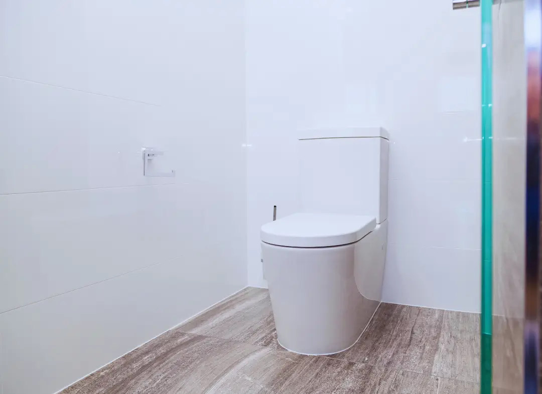 Remplacement de wc Beauzelle
